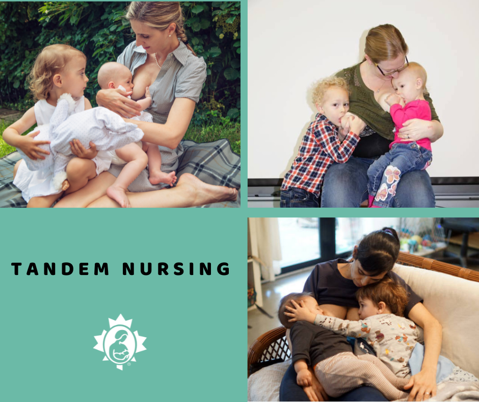 Stories Tandem Nursing La Leche League Canada Breastfeeding